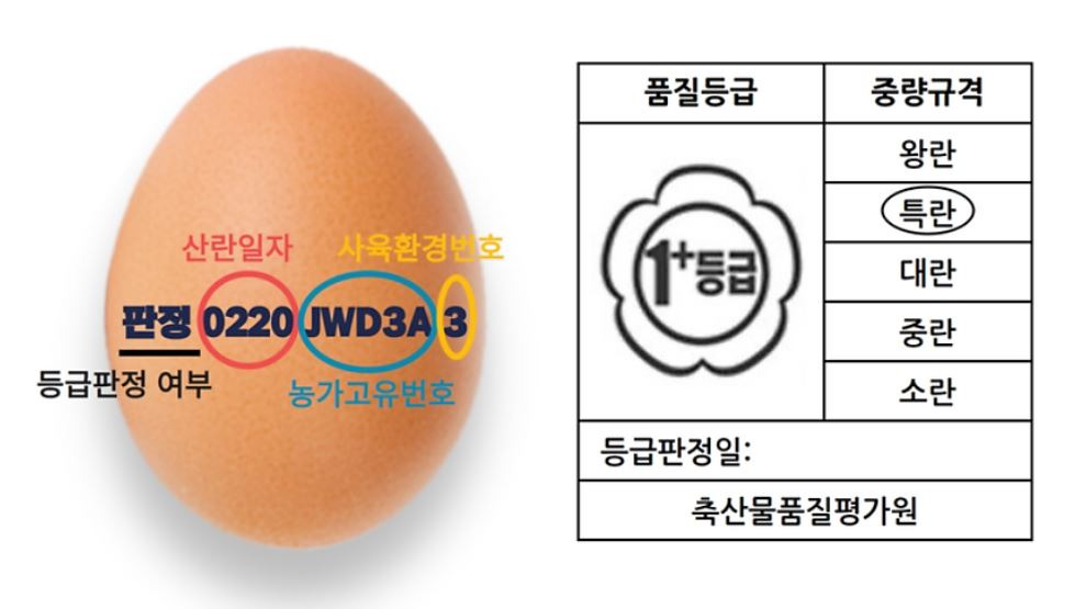 신선하고 좋은 계란 고르는 법4