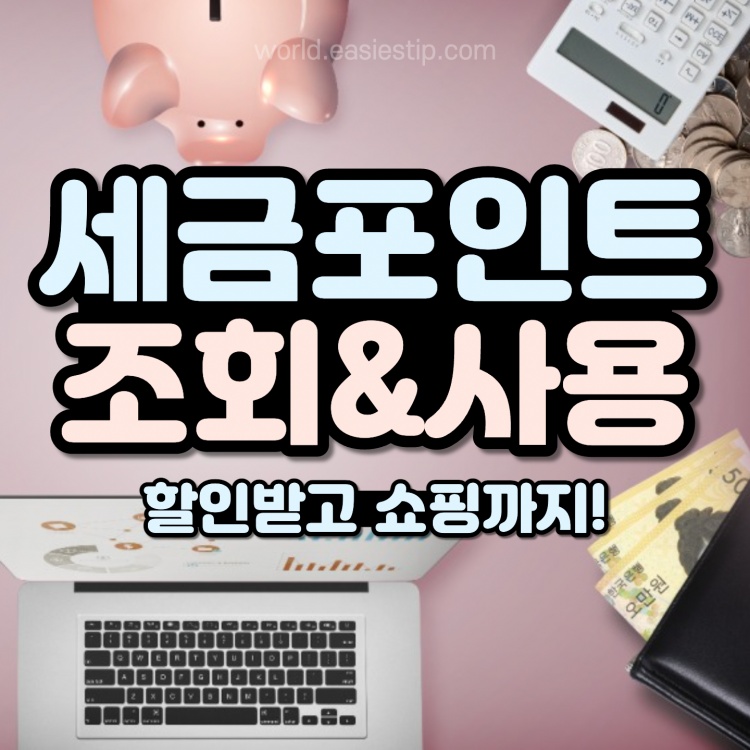 세금 포인트 조회 및 사용 방법