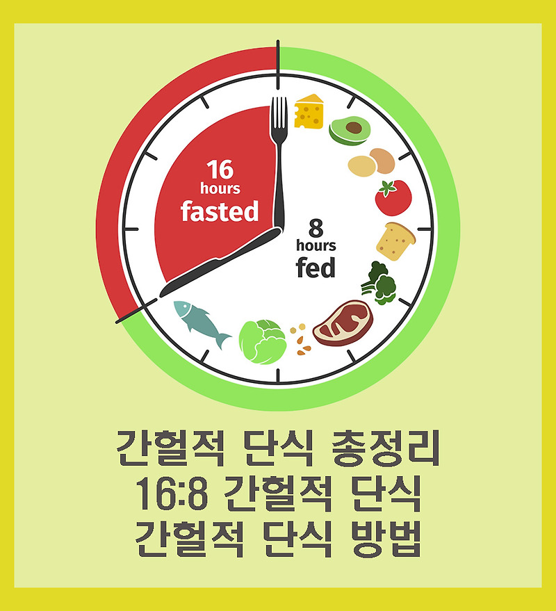 여름철 폭식 예방하는 방법: 간헐적 단식과 다이어트 식단 루틴으로 체중 관리하기
