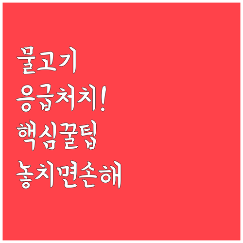 반려 어항 물고기 건강 관리와 응급 ..