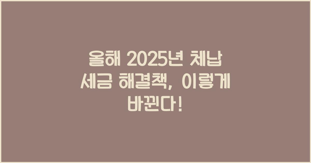 2025년 체납 세금 해결책