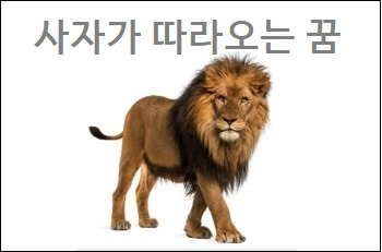 사자가 따라오는 꿈