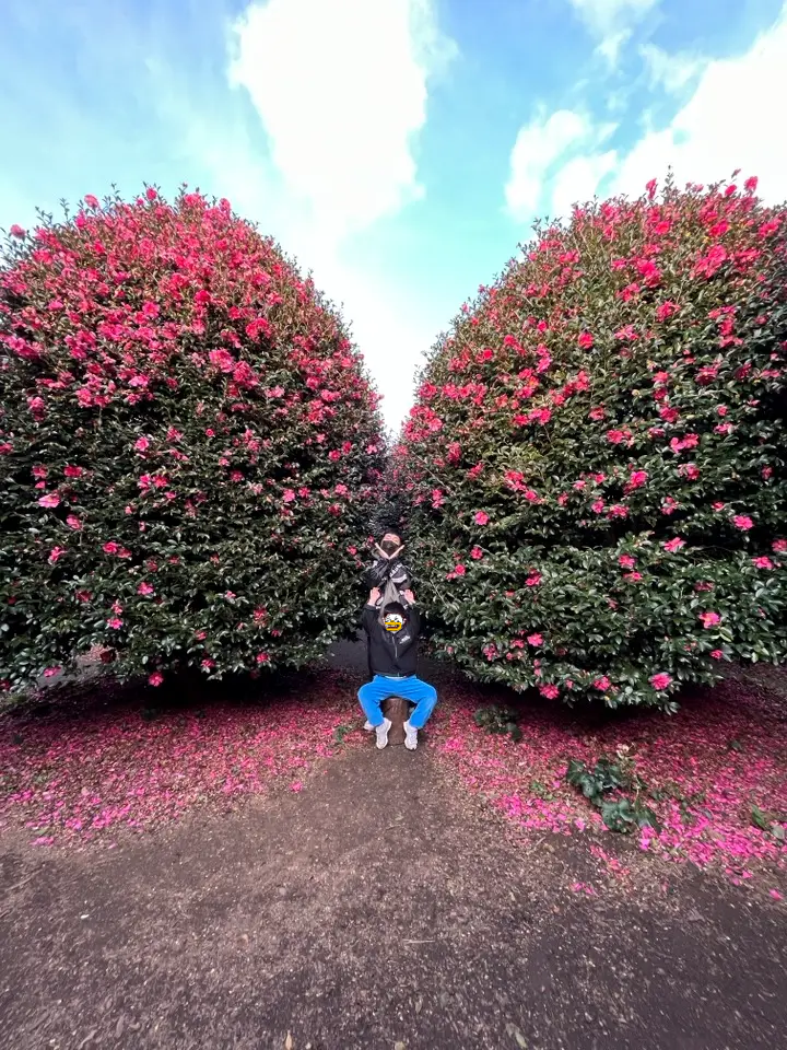 제주도-2박-3일-여행-코스