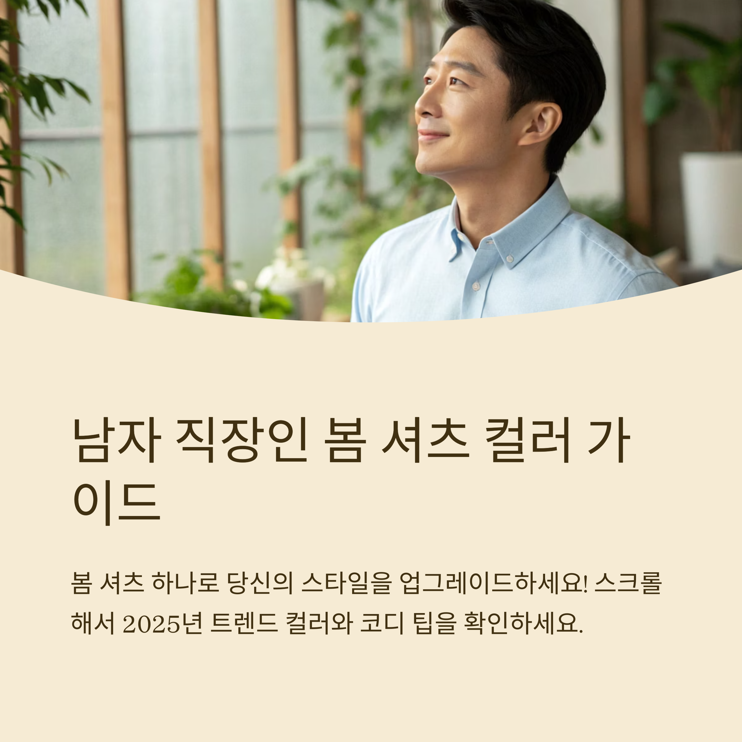 남자 직장인 봄 셔츠 컬러 정리
