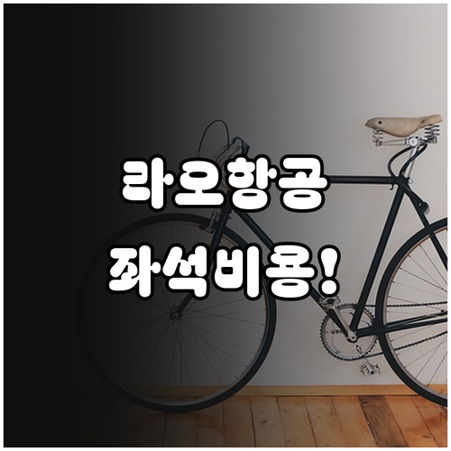 라오항공 좌석 지정 비용 운임 등급별..