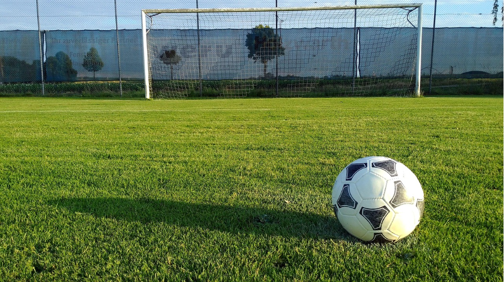 기대에 미치지 못한 유망주 관련 사진