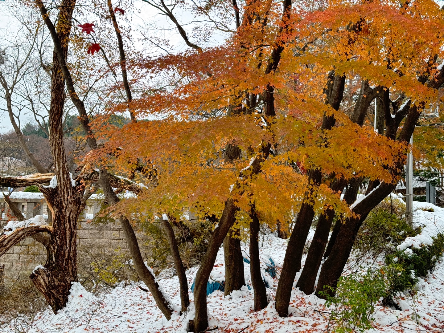국립현대미술관