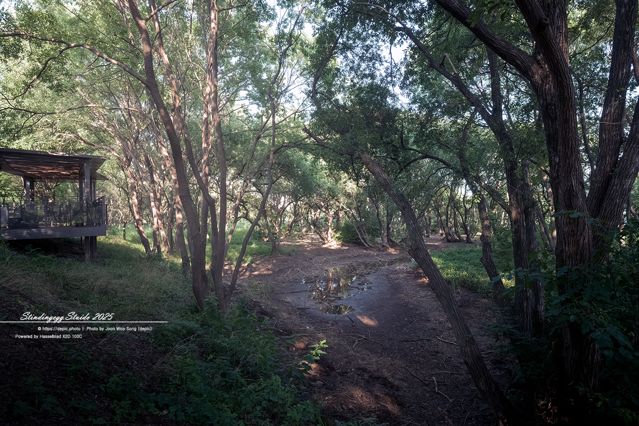 #청주 #오송 #호수공원 #오송호수공원