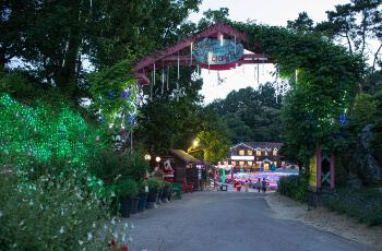 허브아일랜드 라벤더 축제 산타존_2