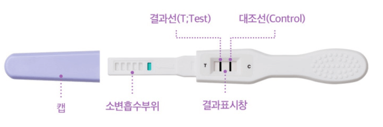 이체크 테스트기 부분별 명칭