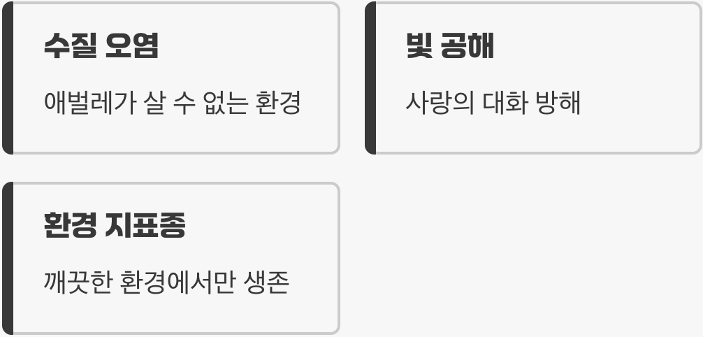 사라져가는 숲속의 별