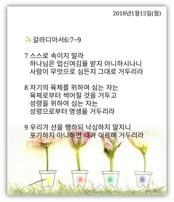 갈라디아서 6장 14절 묵상 십자가의 자랑_27