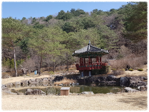 홍천공작산생태숲