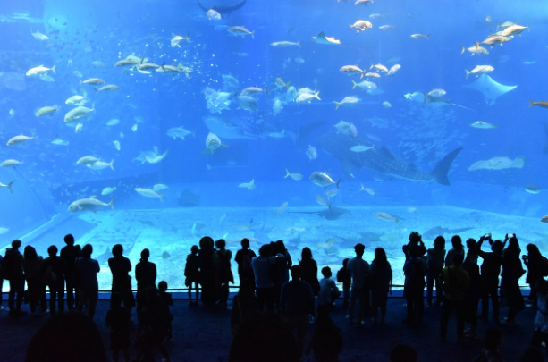 오키나와 항공권 가장 싸게 구입하는 방법, 꿀팁 대공개