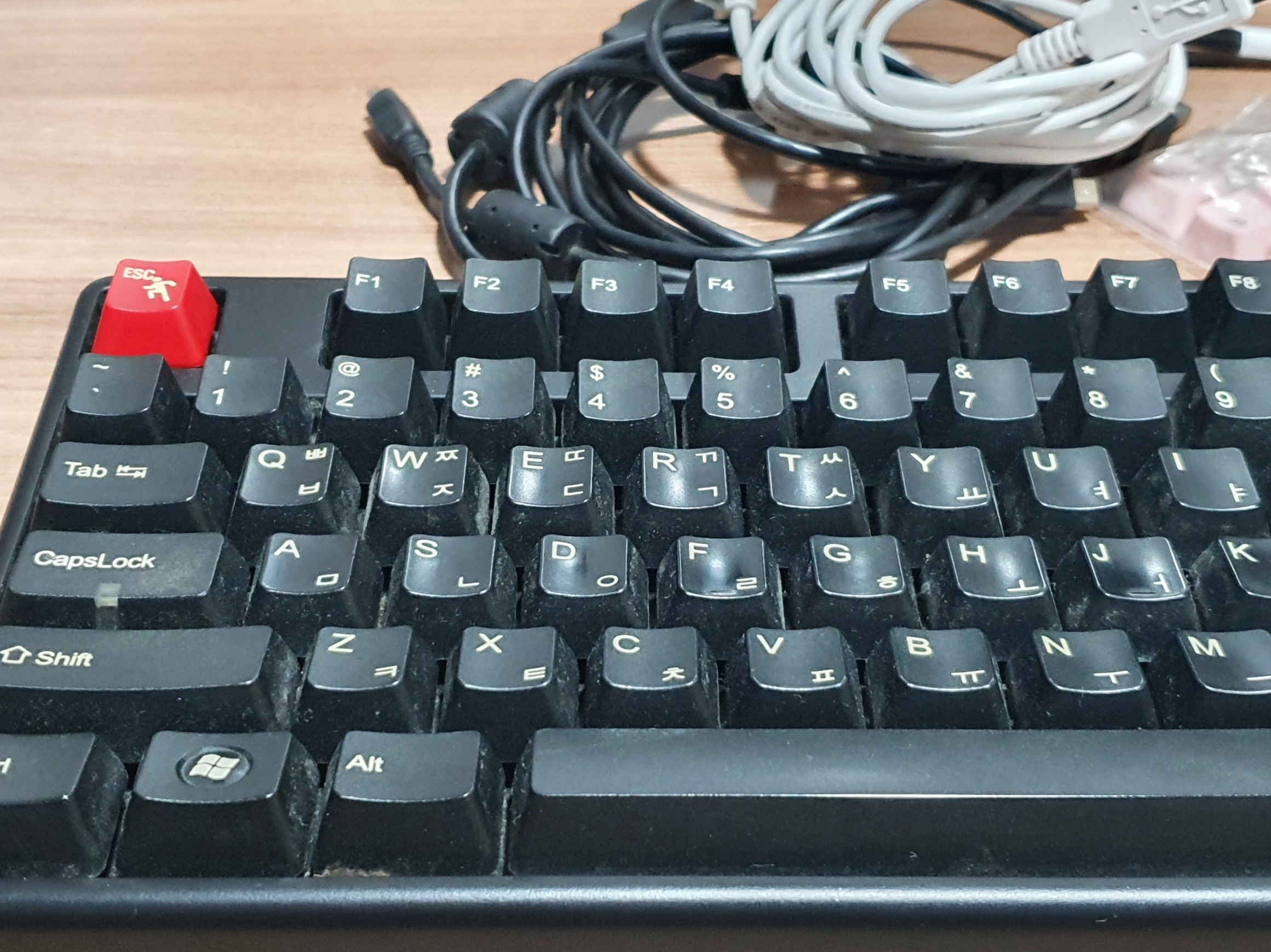 레오폴드 FC200R tenkeyless 갈축 자세히 보면 먼지가 너무 잘 보인다.