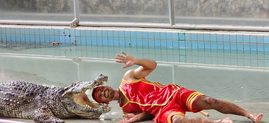 악어농장 공연모습