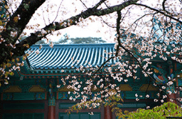 단풍여행 1박2일 버스여행 단풍구경