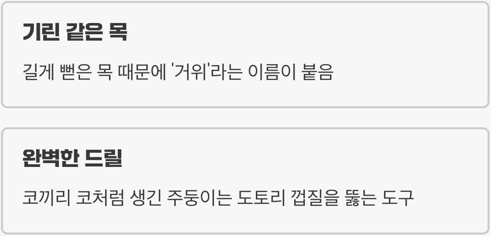 1. 숲속의 작은 드릴러&amp;#44; 그 정체는?