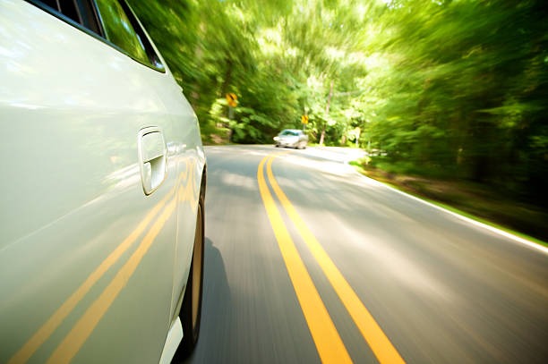 광복절-특사-운전면허-대상자