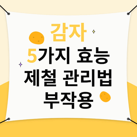 감자 효능,제철, 관리법,부작용