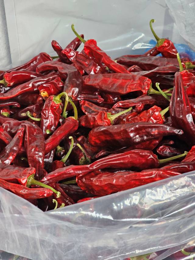 영천 장날에 구매한 건고추(1)
