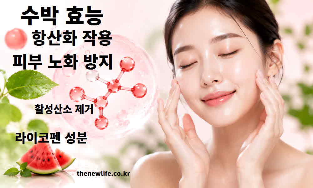 수박 효능 항산화 작용 피부 노화 방지