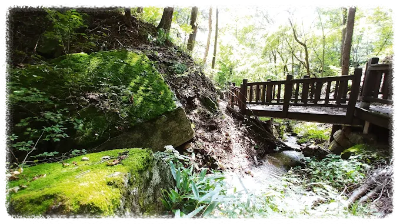 백두대간생태수목원