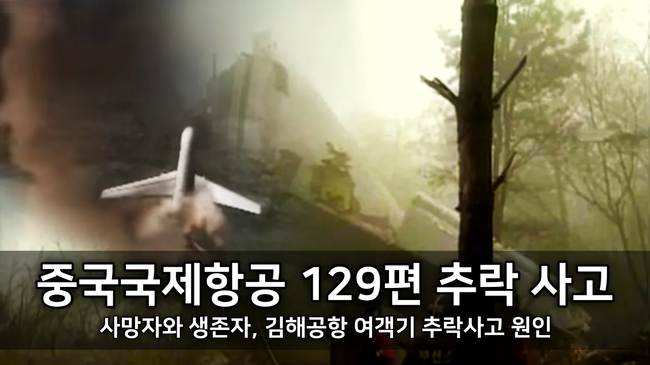 중국국제항공 129편 추락 사고 - 사망자와 생존자, 김해공항 여객기 추락사고 원인