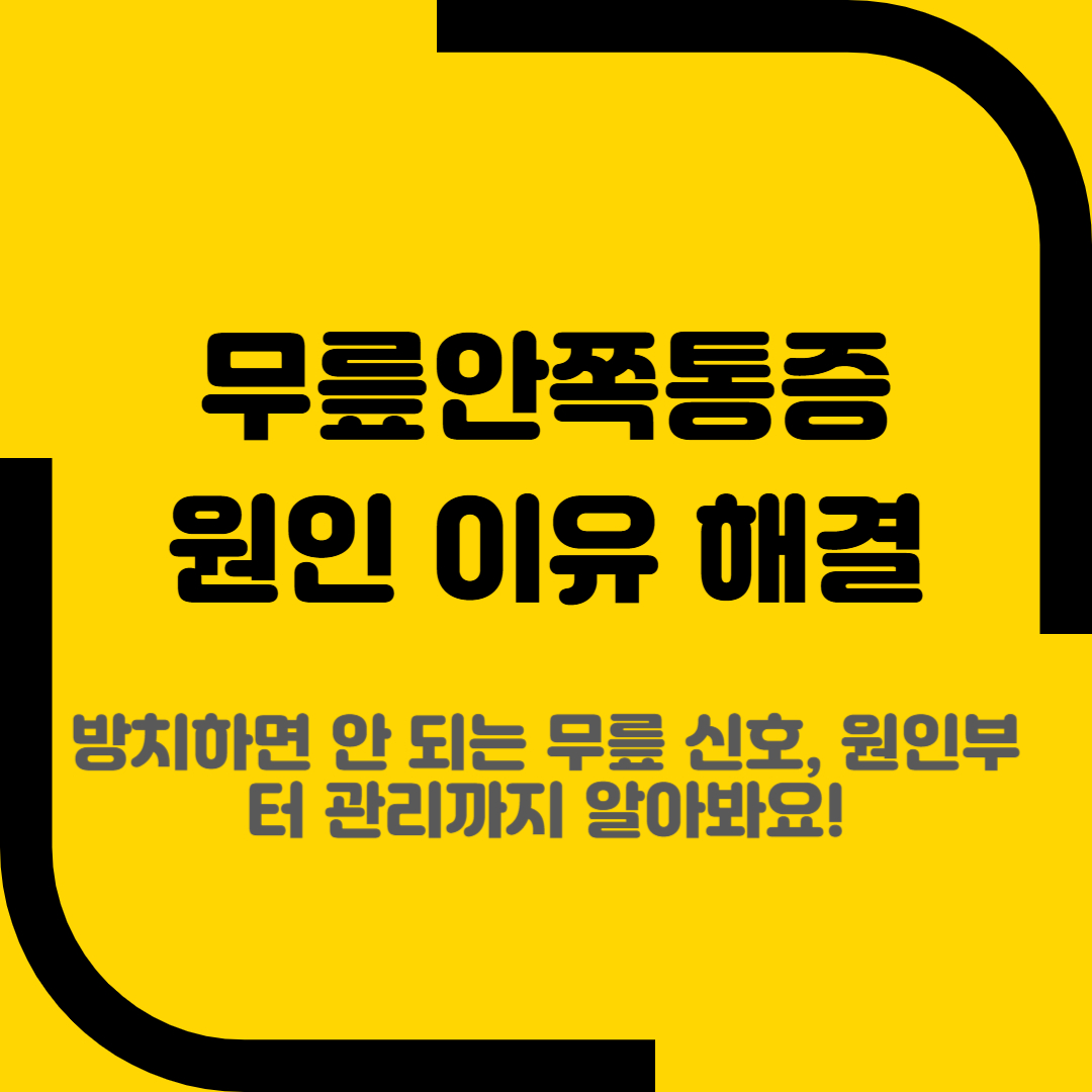 무릎안쪽통증 원인 이유 해결