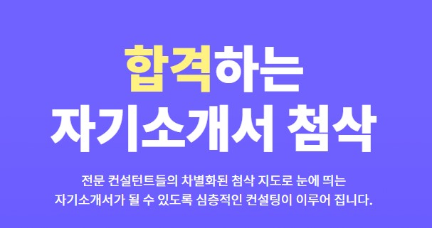 자기소개서 첨삭