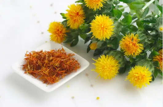 홍화씨 효능 및 부작용, 먹는방법