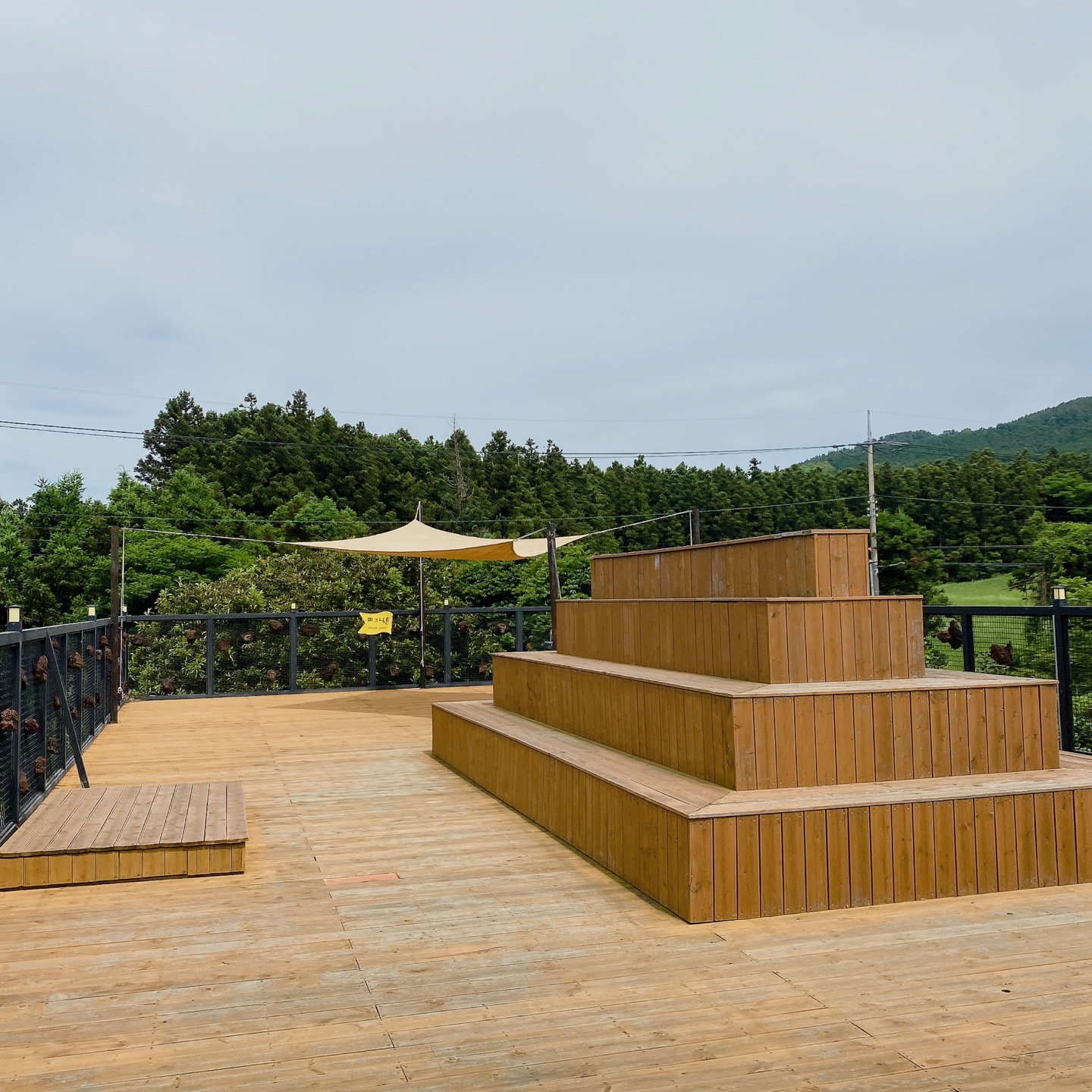 제주 노형동 러브랜드 정원카페 미스틱3도 피크닉 한라봉 흑돼지