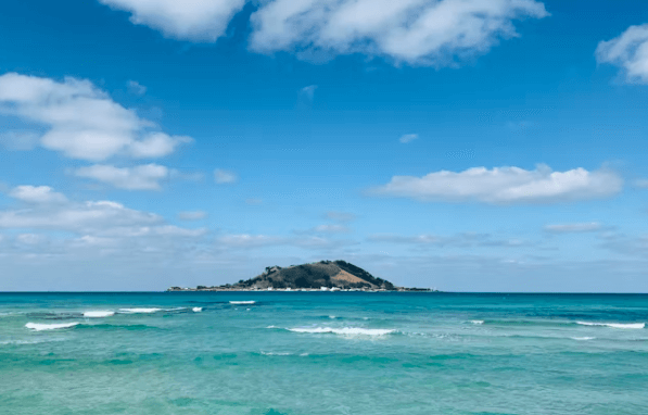 반려견과 제주여행&amp;#44; 펫팸족을 위한 완벽 가이드