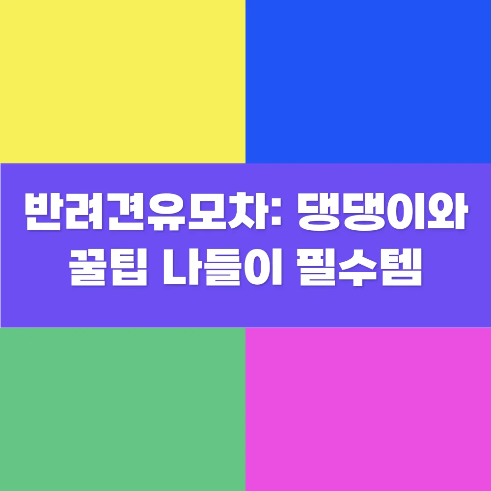 썸네일 이미지