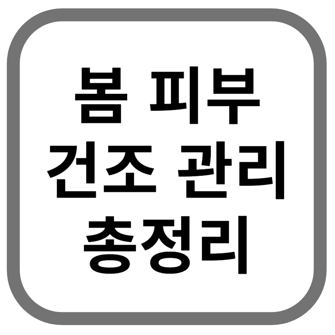 봄 피부 건조 관리 총정리라고 적힌 썸네일