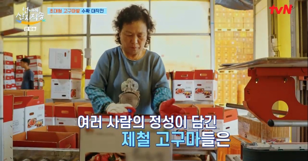 언니네산지직송 염정아 고구마치즈돈까스 레시피(고치돈 레시피)