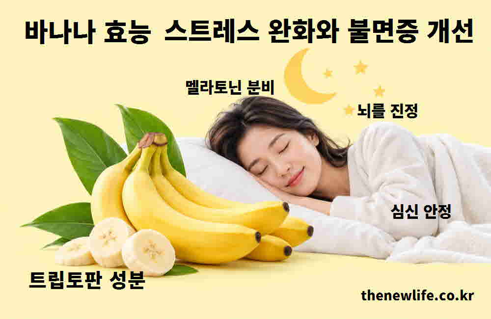 바나나 효능 스트레스 완화 불면증 개선