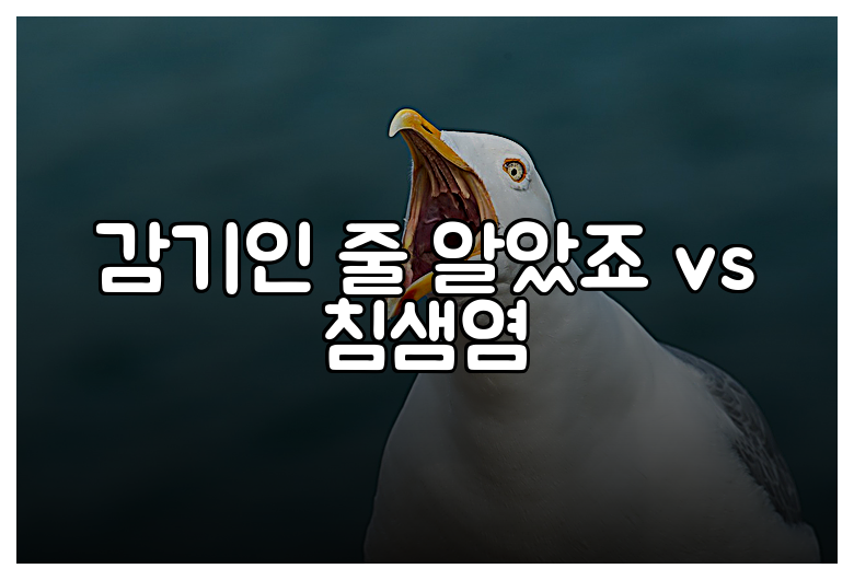감기인 줄 알았죠 vs 침샘염