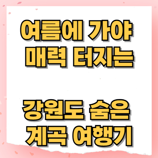여름에 가야 진짜 매력 터지는 강원도 숨은 계곡 여행기