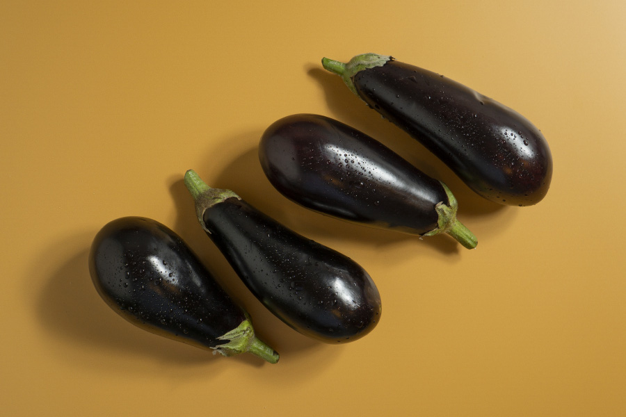 야생에서 채취를 한 가지 4개를 깨끗하게 세척한 후에 노란 바닥 위에 나란히 놓아두고 찍은 사진