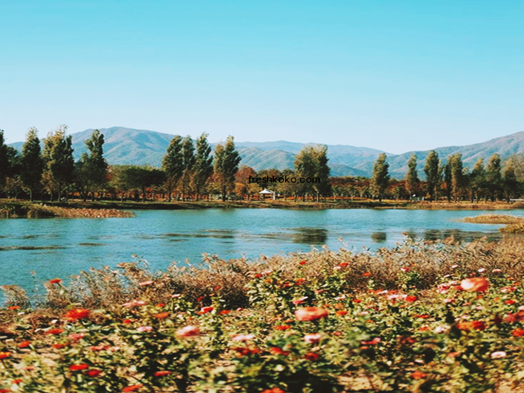 가평 가볼만한곳 베스트10