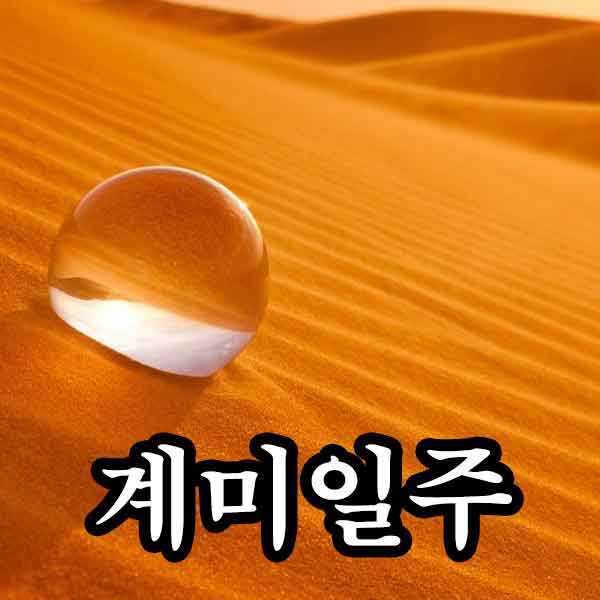 일주론 - 계미
