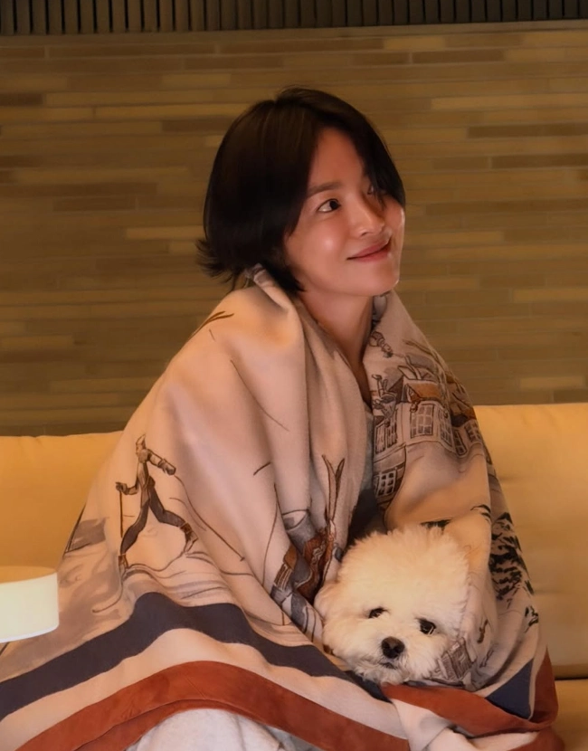 송혜교 단발 사진