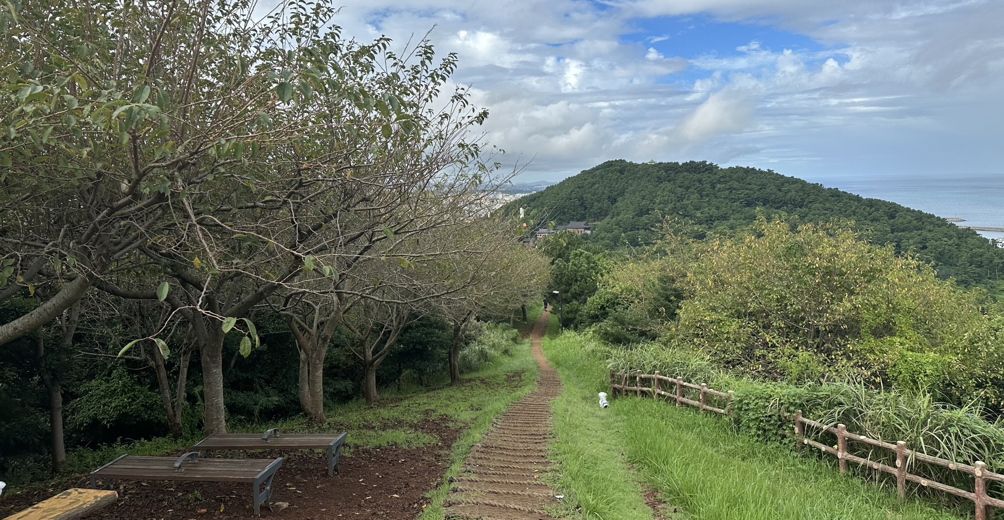 별도봉 내려가는길