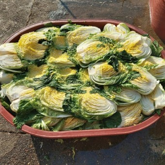 2024김장철 인기 김장재료