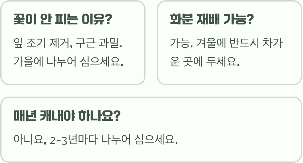 가을에 꼭 심어야 할 크로커스 구근, 실패 없이 심는 시기와 방법 A to Z