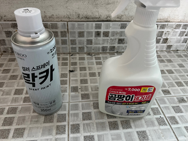 곰팡이 제거 제품들