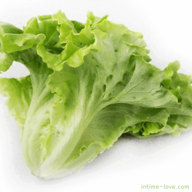 카이피라 (Caipira lettuce) 효능