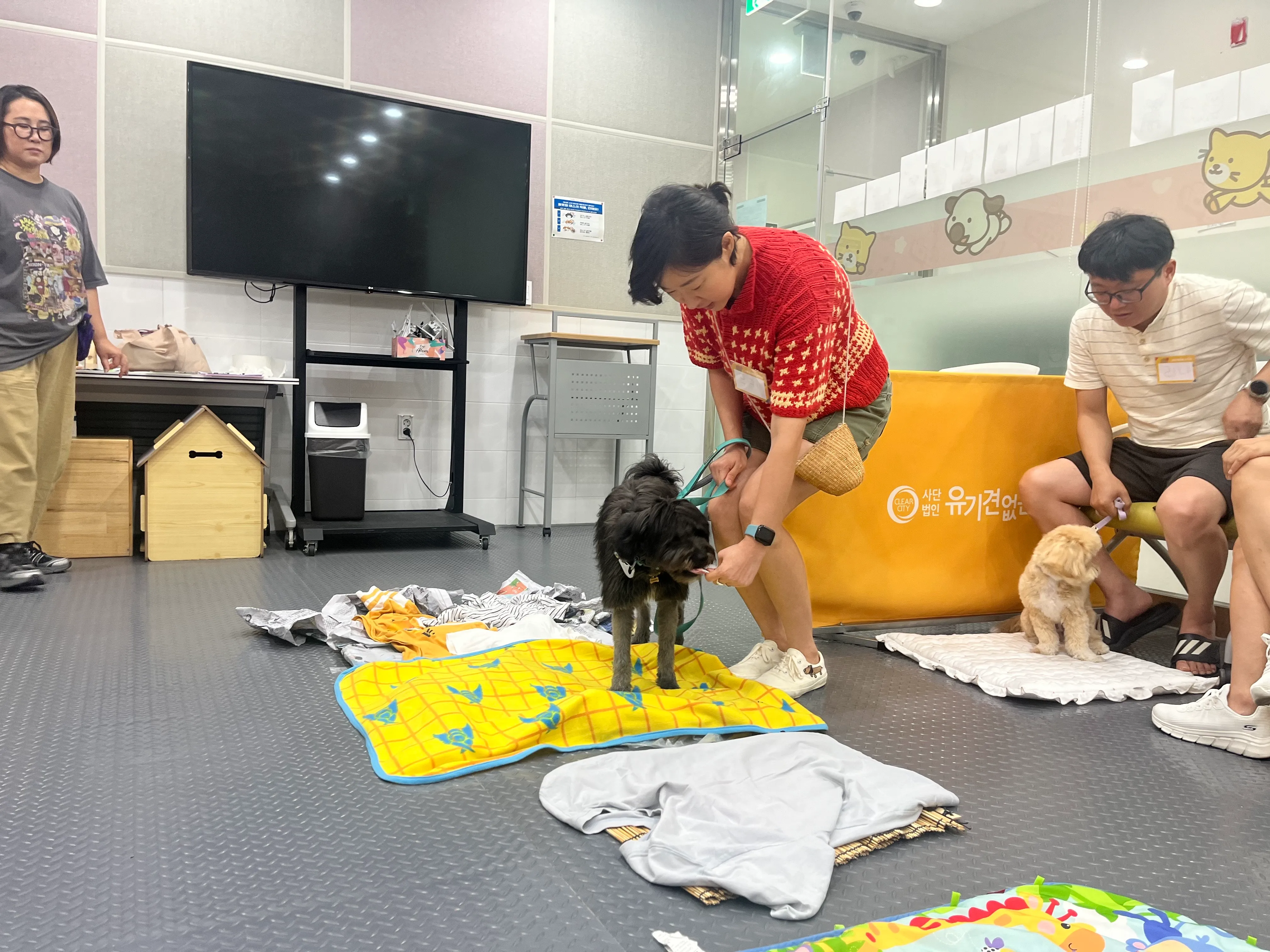 서울 반려동물 교육