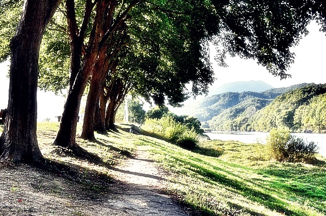 국민연금 가입증명서